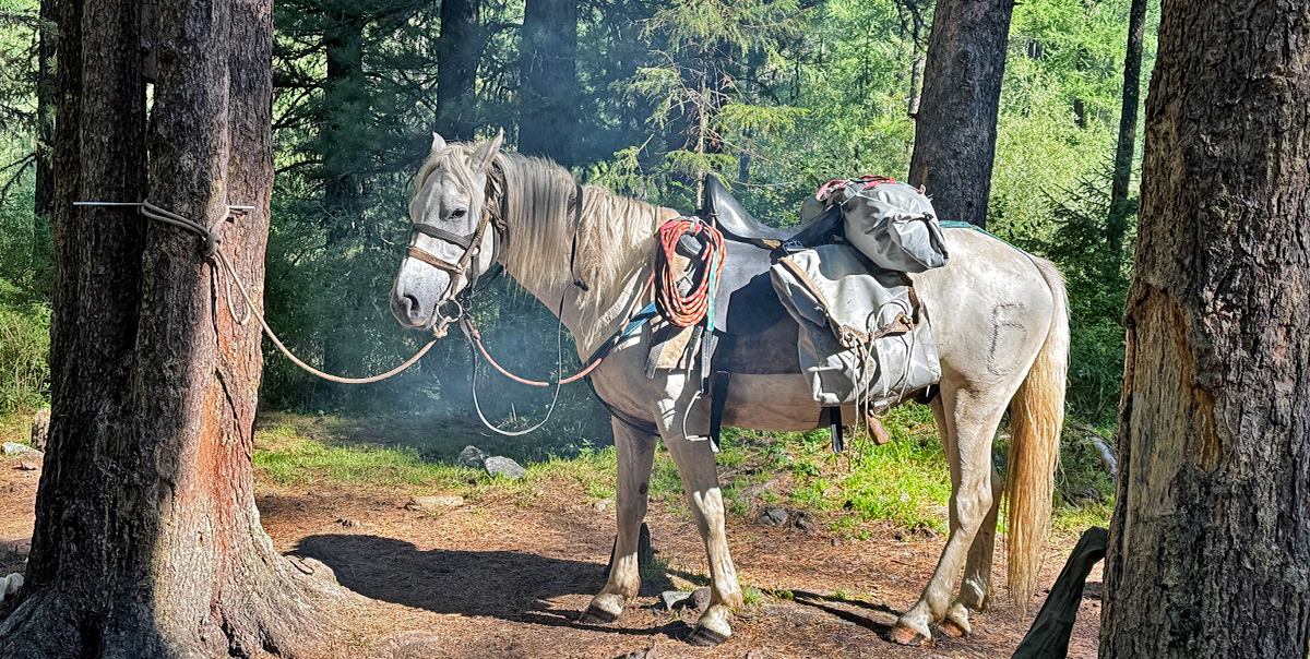 Тур на Шавлинские озёра налегке (с конным сопровождением) (82/128)