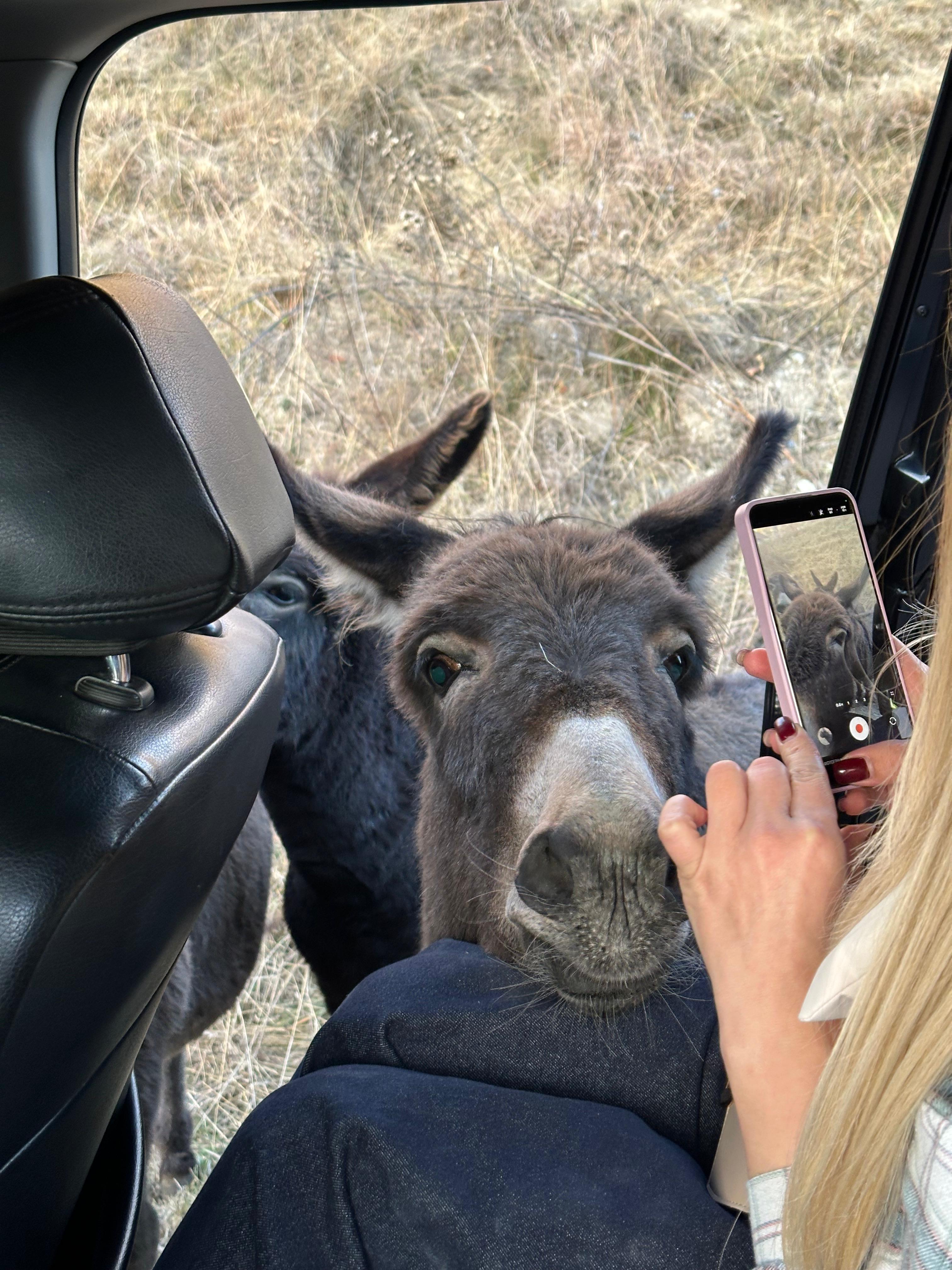 Открывая Дагестан: за три дня к сердцу Кавказа (Все Включено) (84/107)
