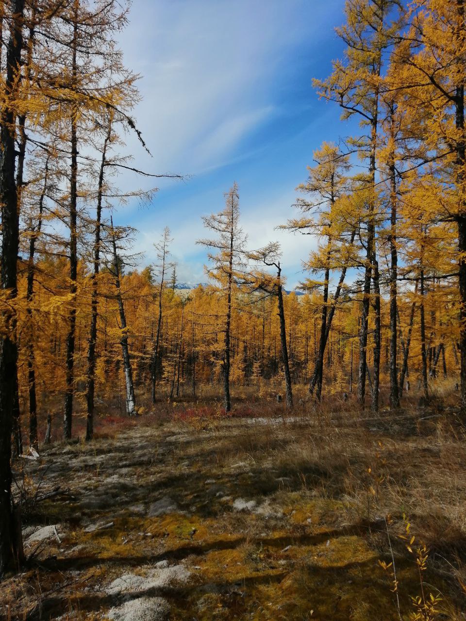 Легенды Бама 2.0 экспедиционный тур на Байкал (2/39)