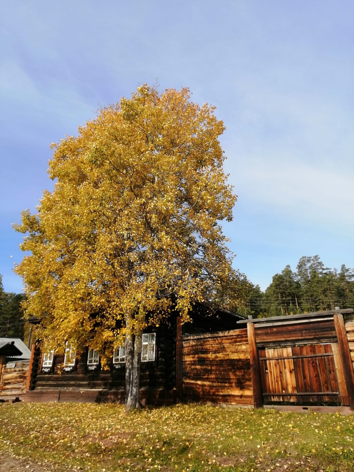 Легенды Бама 2.0 экспедиционный тур на Байкал (11/39)