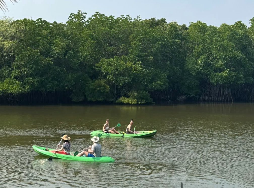 Йога-тур на Шри-Ланку 12 дней (14/30)