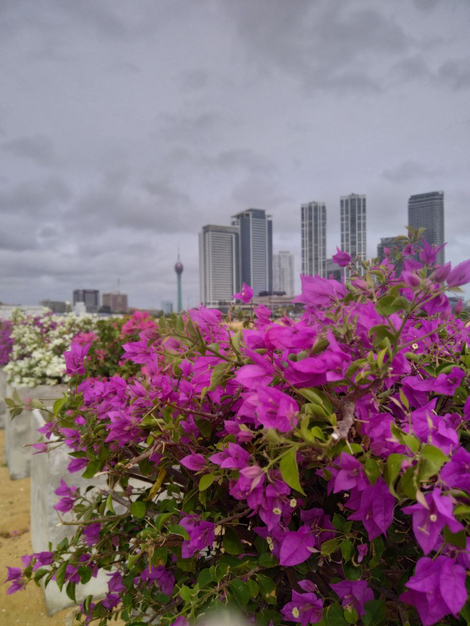 Индивидуальная обзорная экскурсия по Коломбо (5/14)