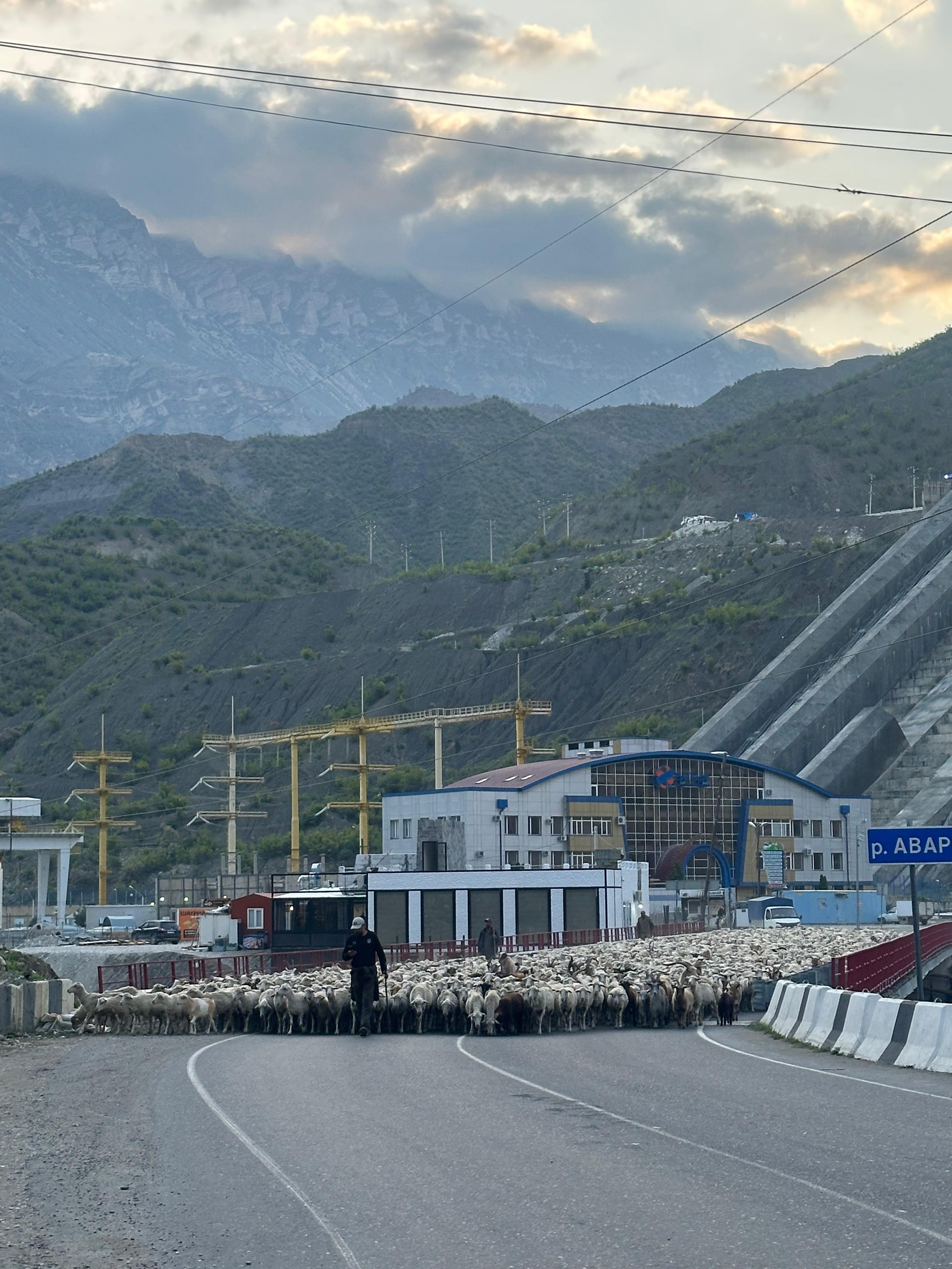 Открывая Дагестан: за три дня к сердцу Кавказа (Все Включено) (99/107)