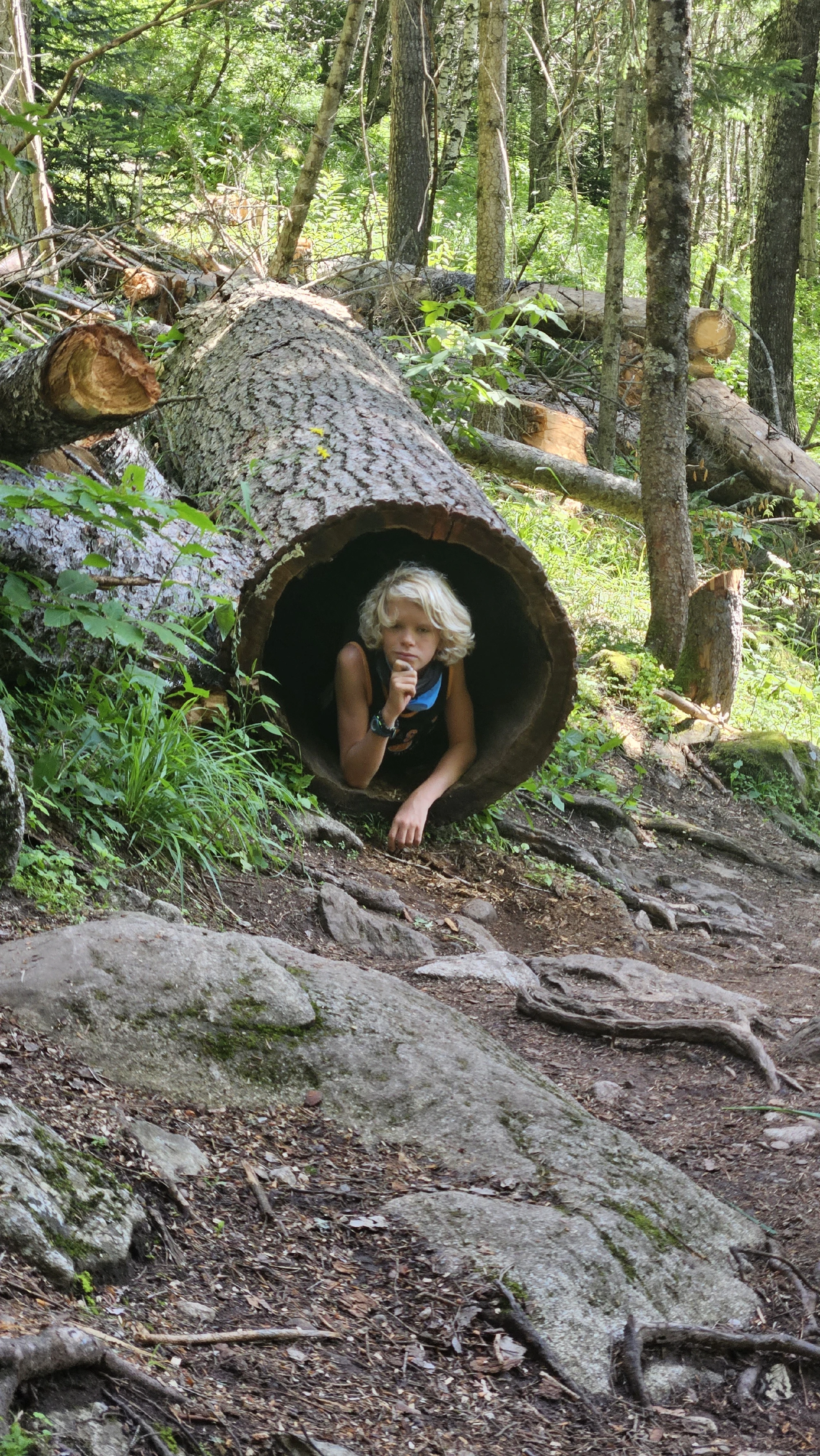 Домбай. Горный лагерь в палатках (7/20)