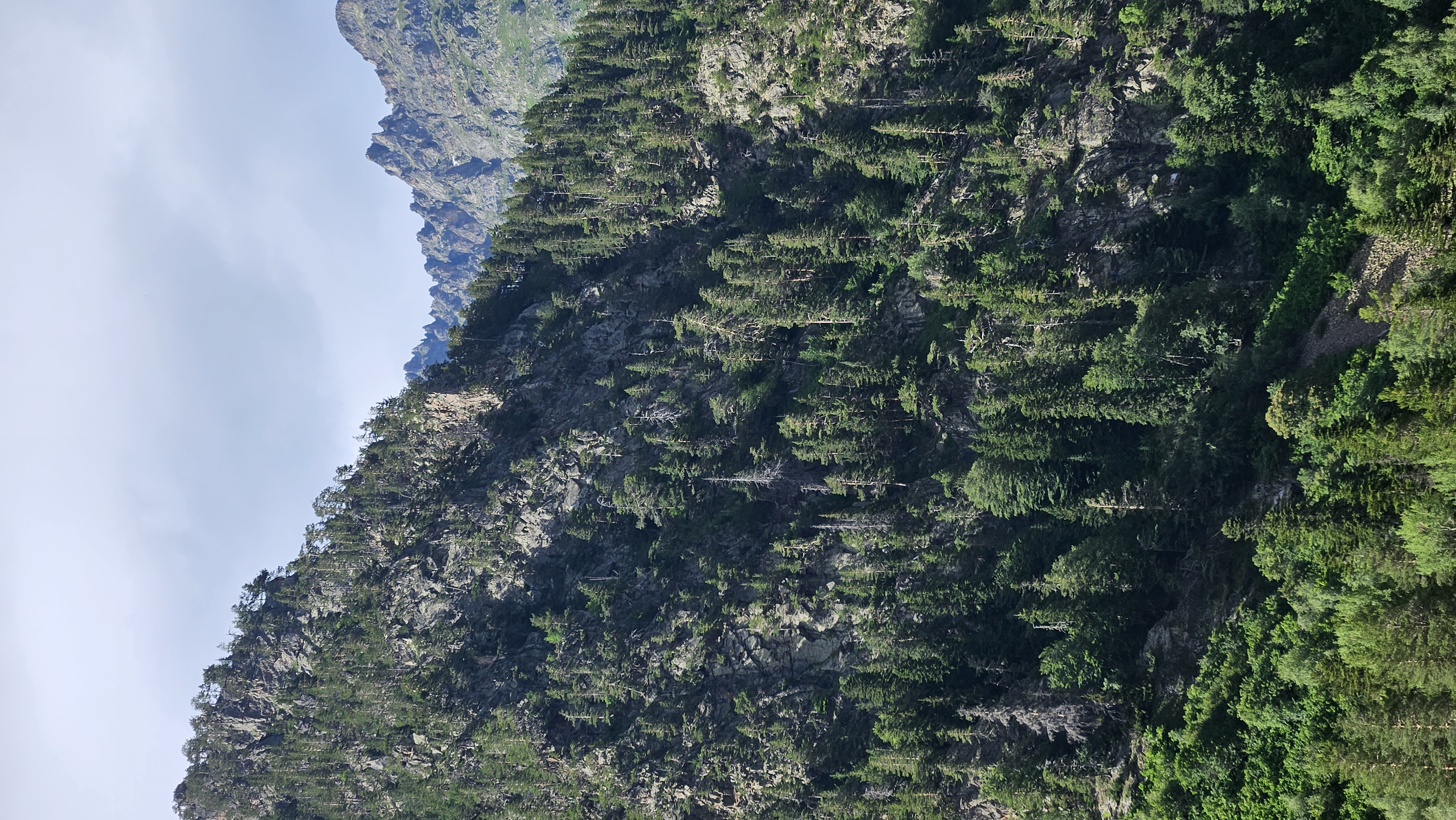 Домбай. Семейный горный лагерь (6+) (7/22)