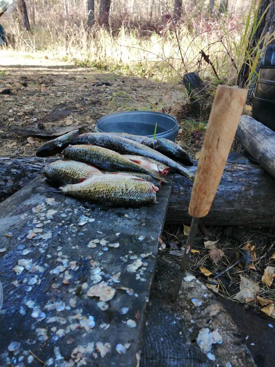 Легенды Бама 2.0 экспедиционный тур на Байкал (7/39)