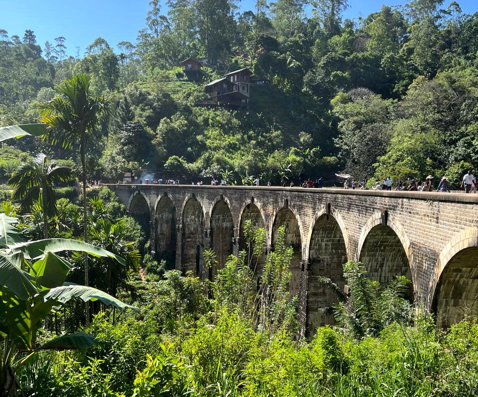 Йога-тур на Шри-Ланку 12 дней (10/30)