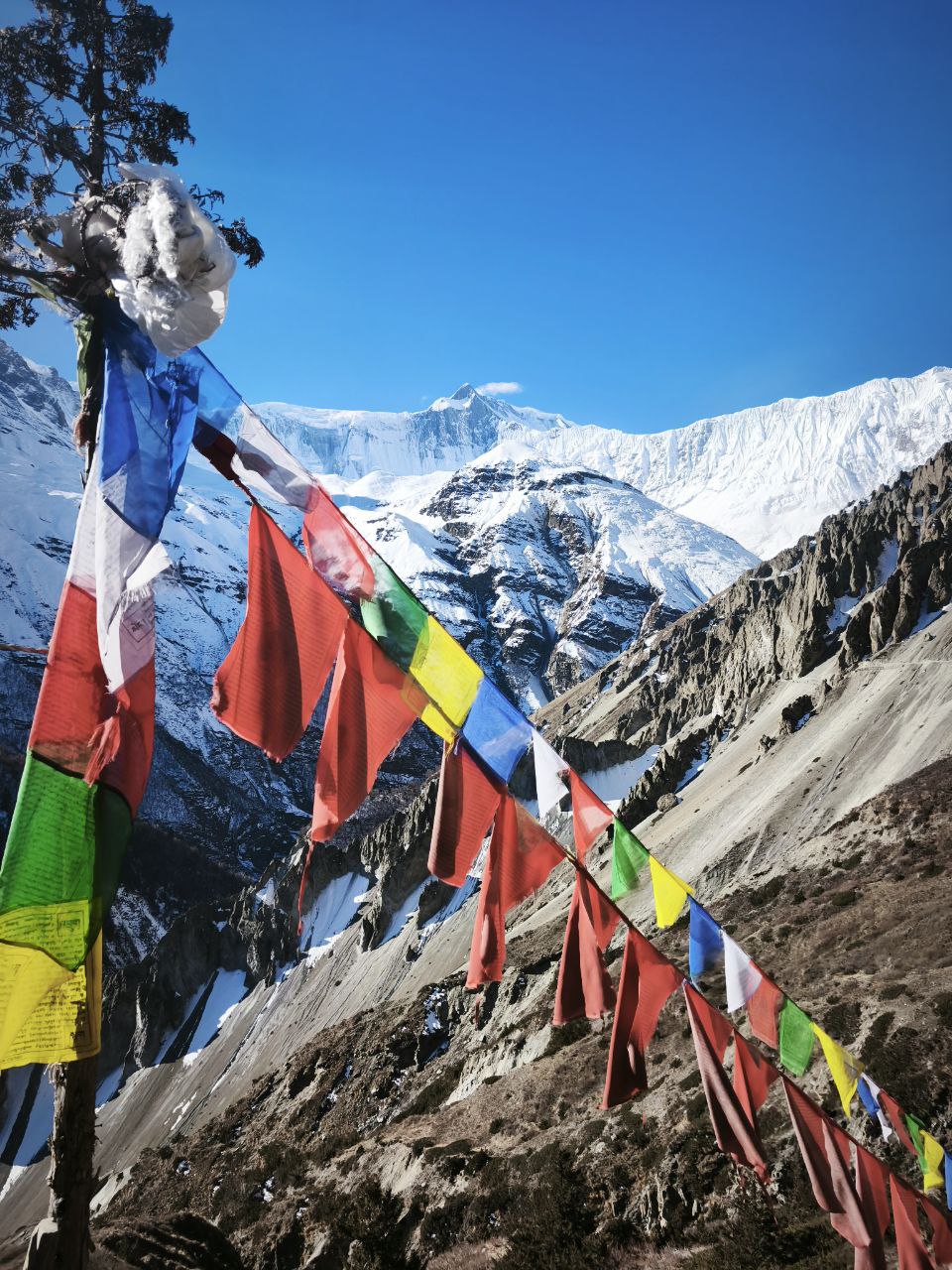 Треккинг по Непалу: Кольцо Аннапурны + горные озёра Тиличо и Гангапурна (17/60)