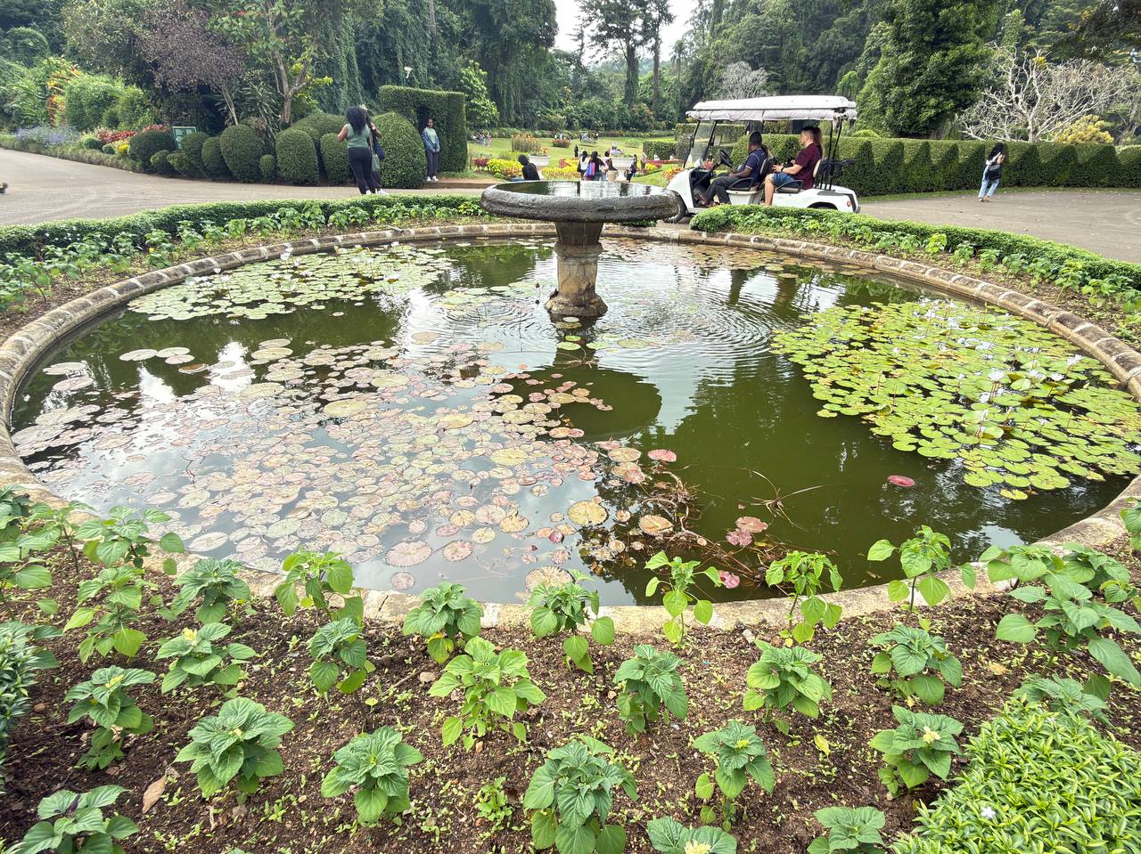 Индивидуальная экскурсия Канди тур (15/16)