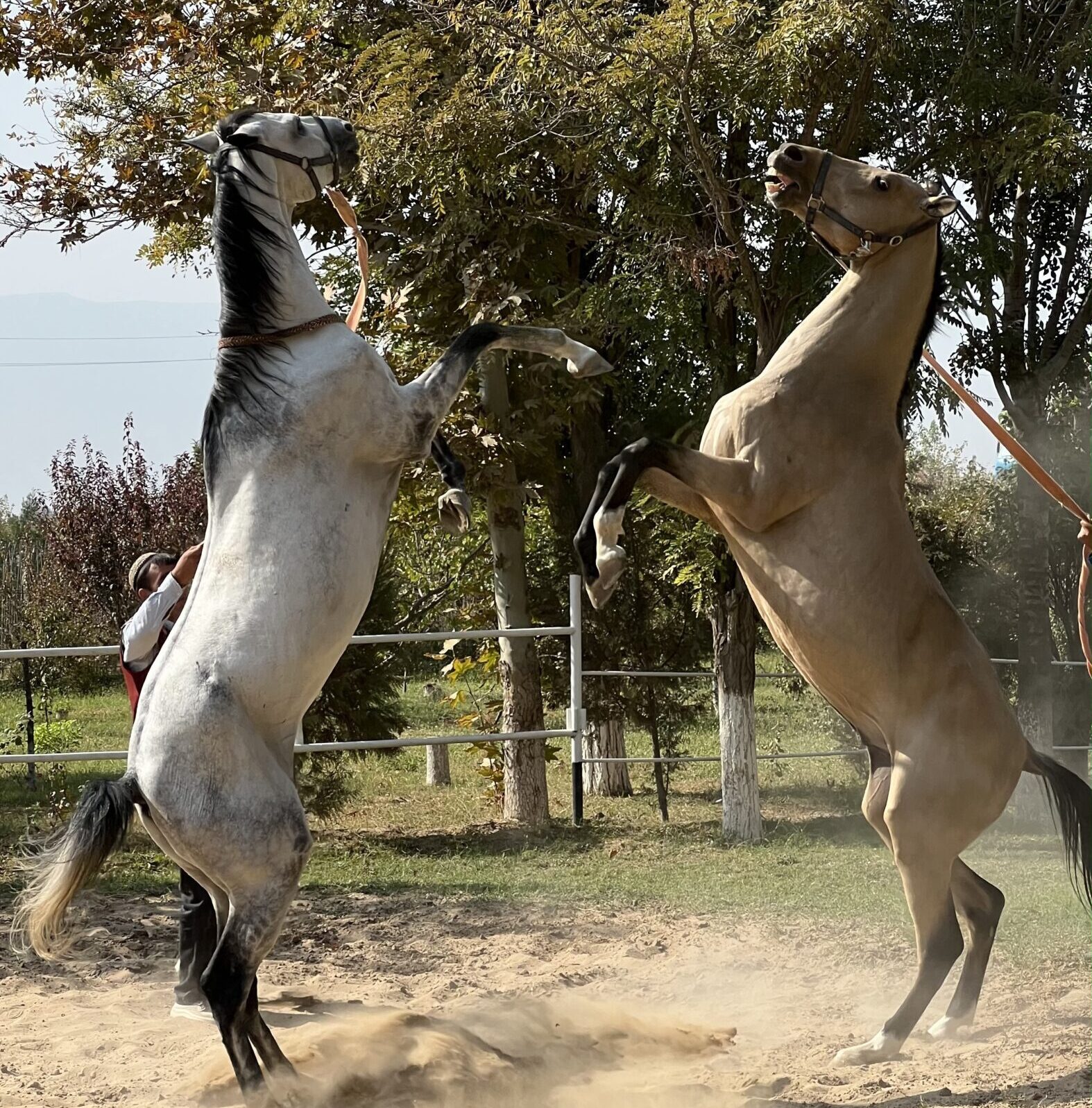 Туркменистан. Экспедиция в прошлое (42/67)