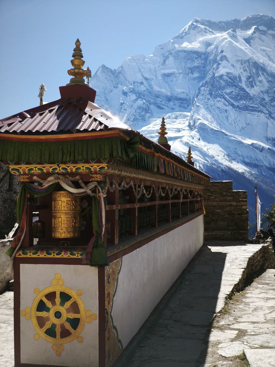 Треккинг по Непалу: Кольцо Аннапурны + горные озёра Тиличо и Гангапурна (42/60)