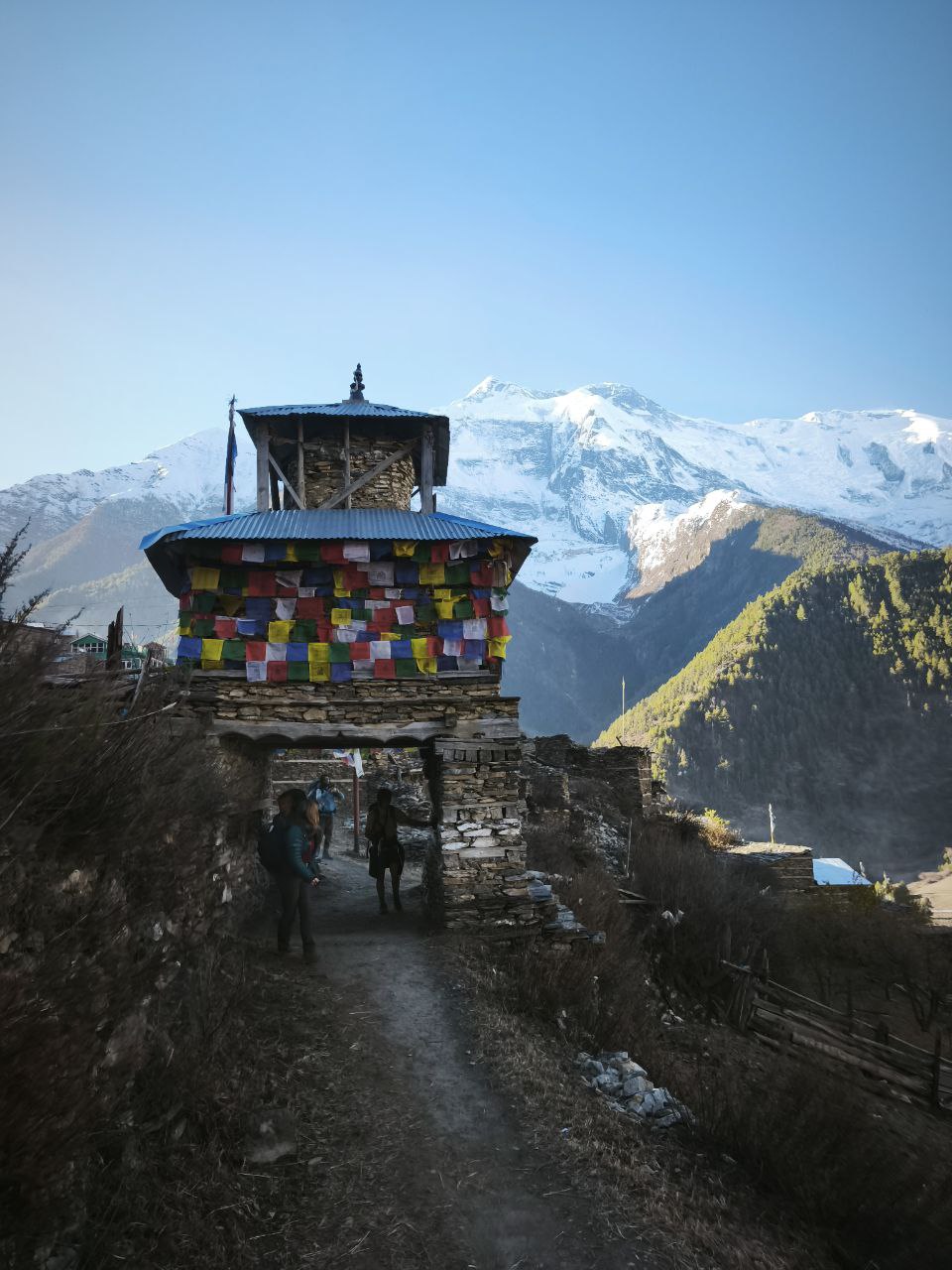 Треккинг по Непалу: Кольцо Аннапурны + горные озёра Тиличо и Гангапурна (32/60)