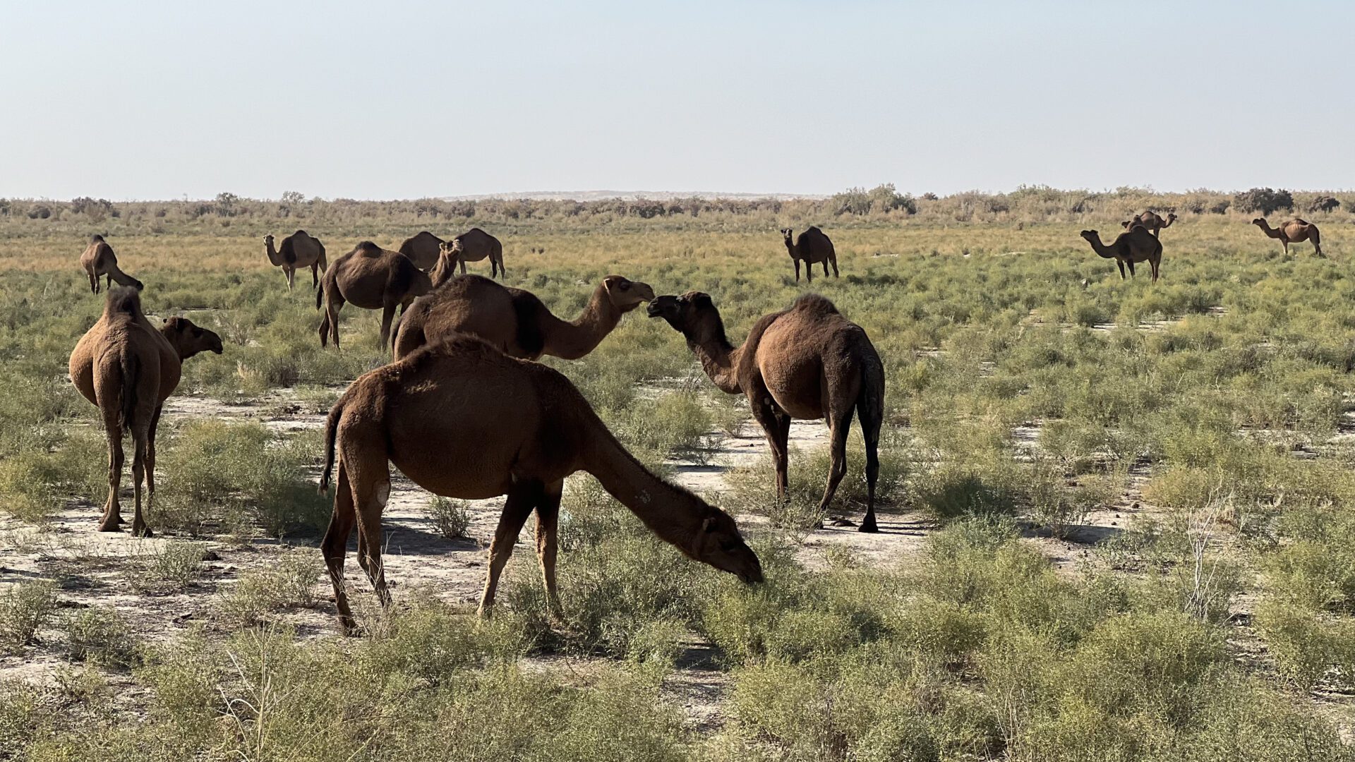 Туркменистан. Экспедиция в прошлое (2/67)