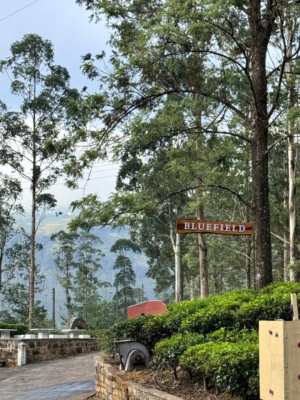 Индивидуальная экскурсия Канди тур (11/16)