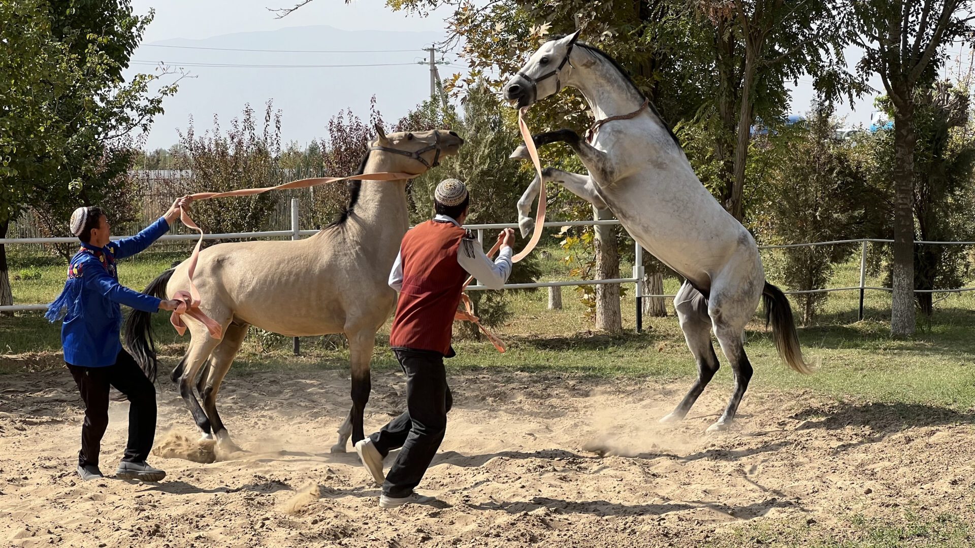 Туркменистан. Экспедиция в прошлое (7/67)
