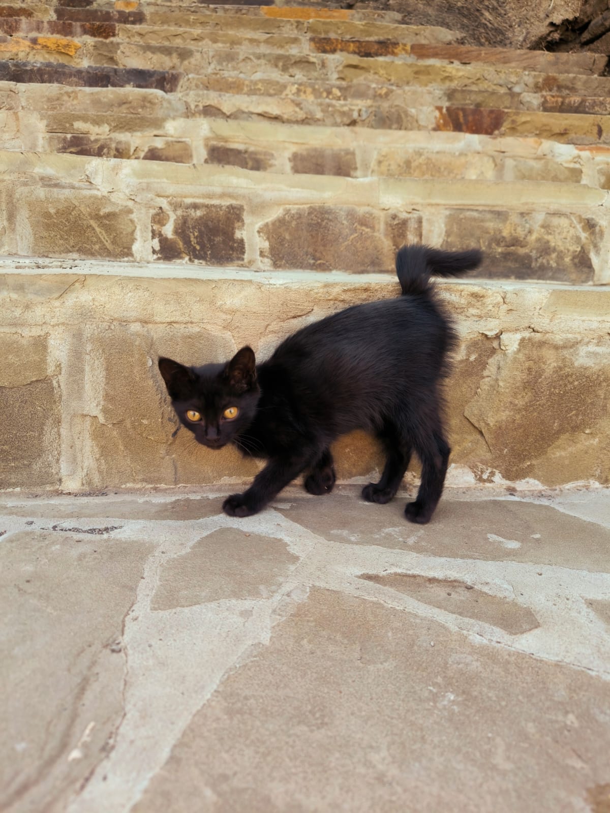 Летний тур 7 дней по Южному Дагестану. Все включено! (50/59)