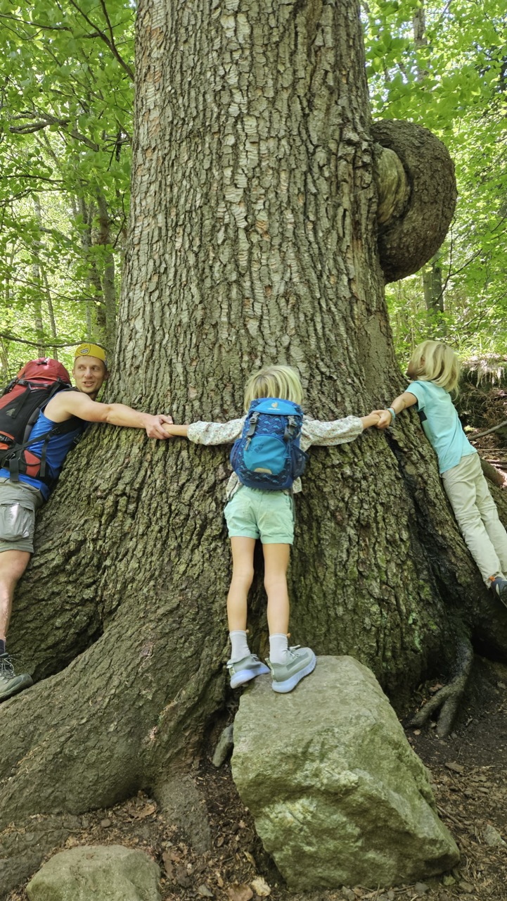 Домбай. Горный лагерь в палатках (18/20)