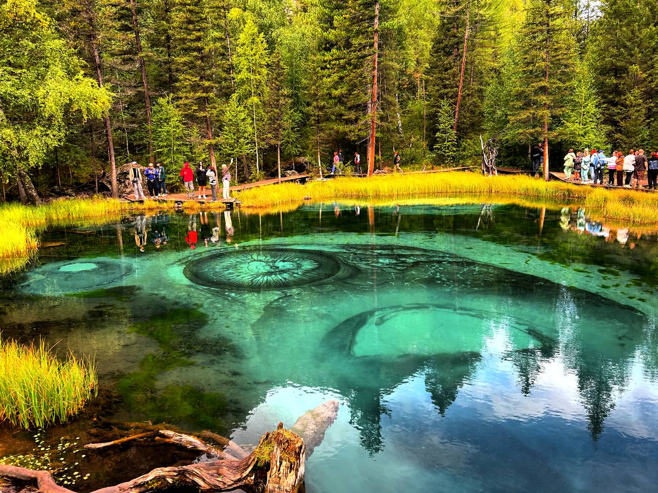 Золотой Алтай, кольцевой тур через Телецкое озеро (32/42)