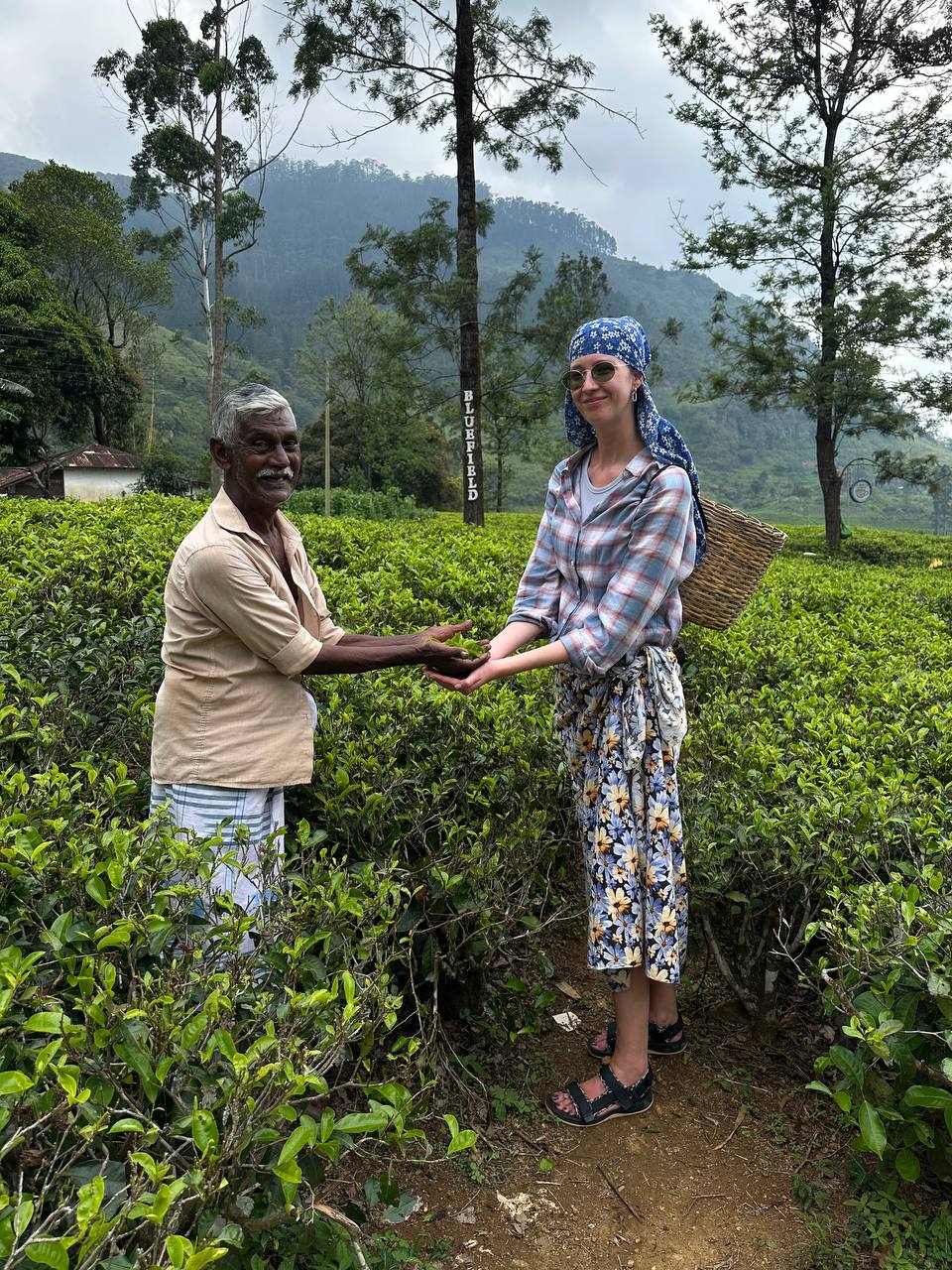 Индивидуальная экскурсия Канди тур (6/16)