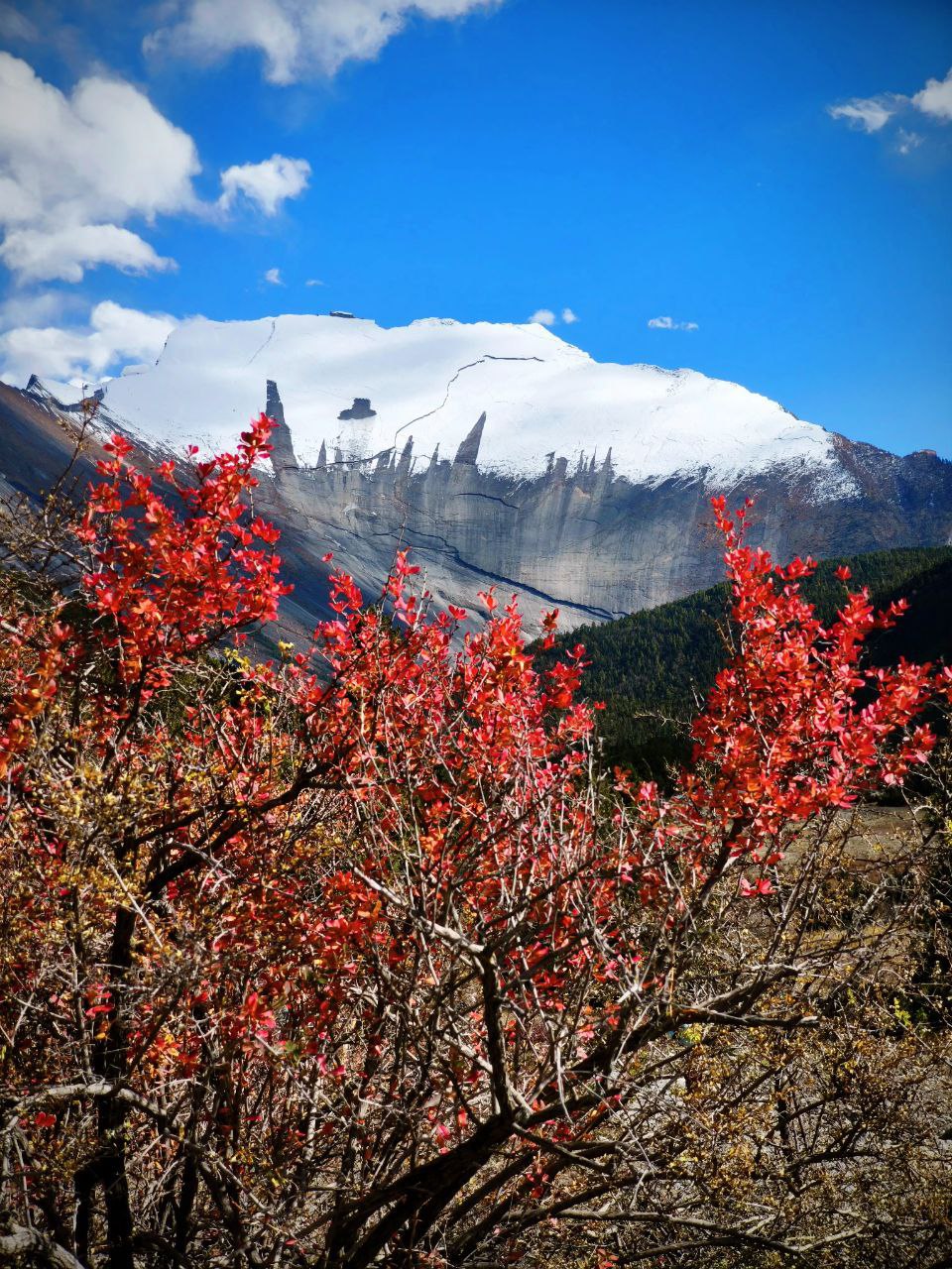 Треккинг по Непалу: Кольцо Аннапурны + горные озёра Тиличо и Гангапурна (26/60)