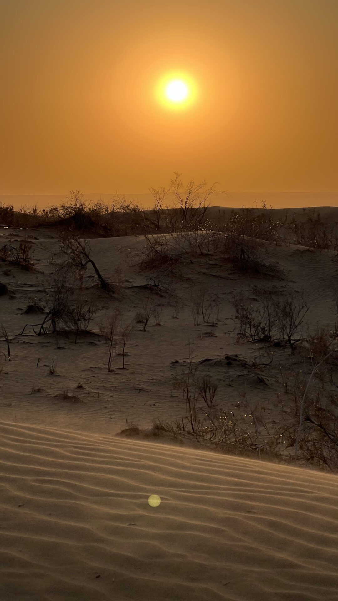 Туркменистан. Экспедиция в прошлое (24/67)