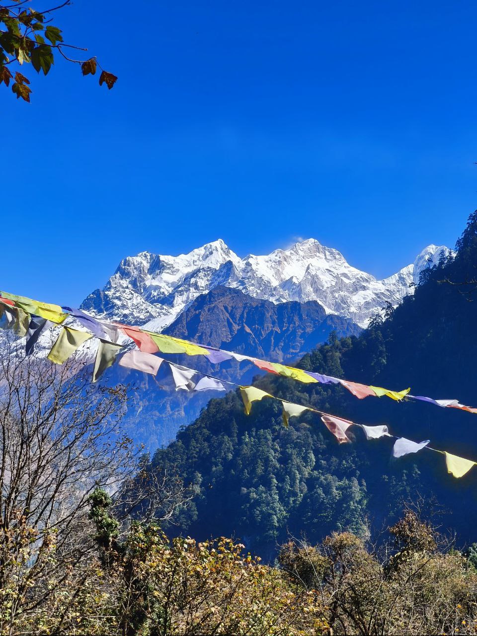 Треккинг по Непалу: Кольцо Аннапурны + горные озёра Тиличо и Гангапурна (34/60)