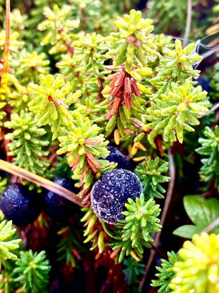 Ты и океан. Экскурсия на Халактырский пляж. (10/16)