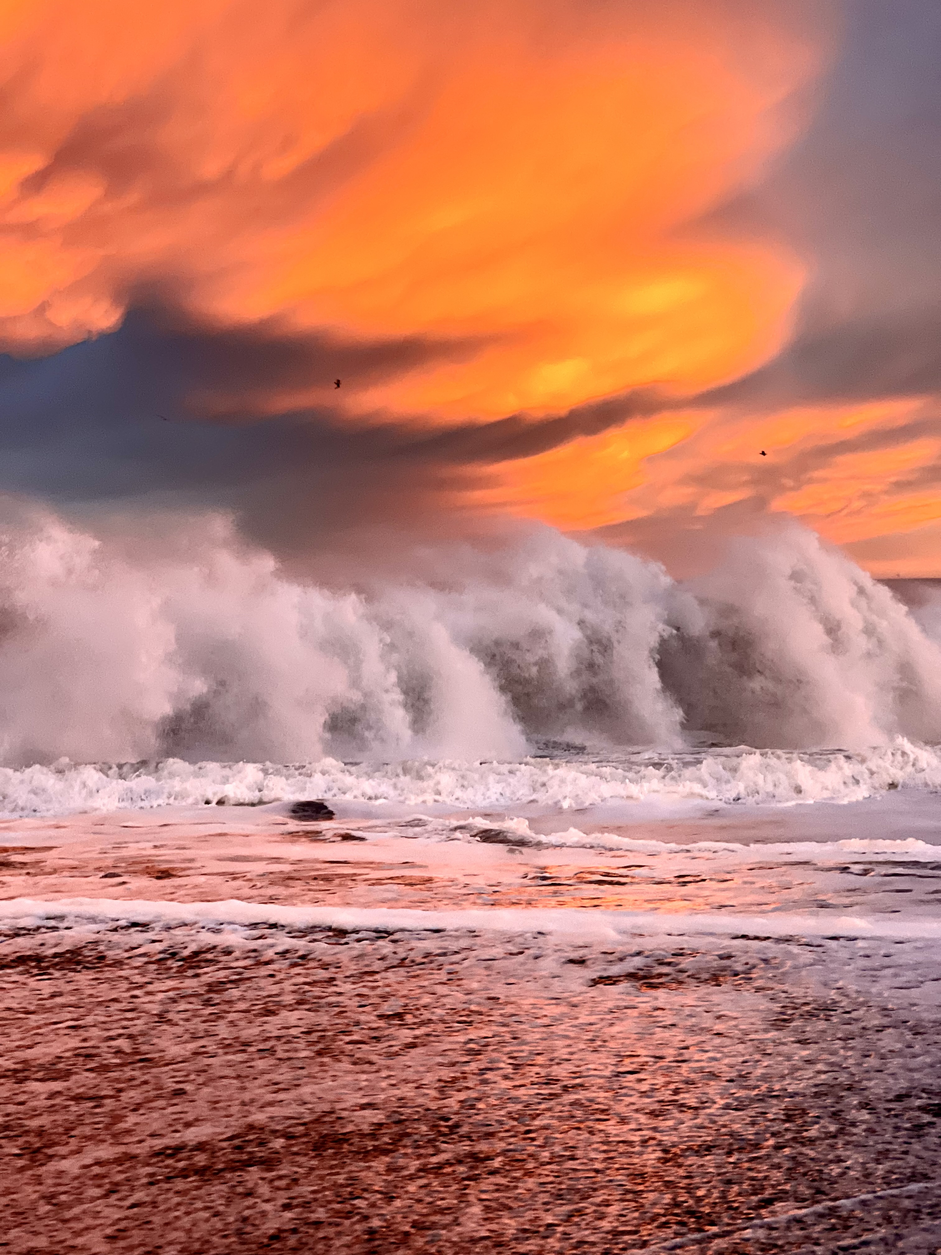 Ты и океан. Экскурсия на Халактырский пляж. (2/16)