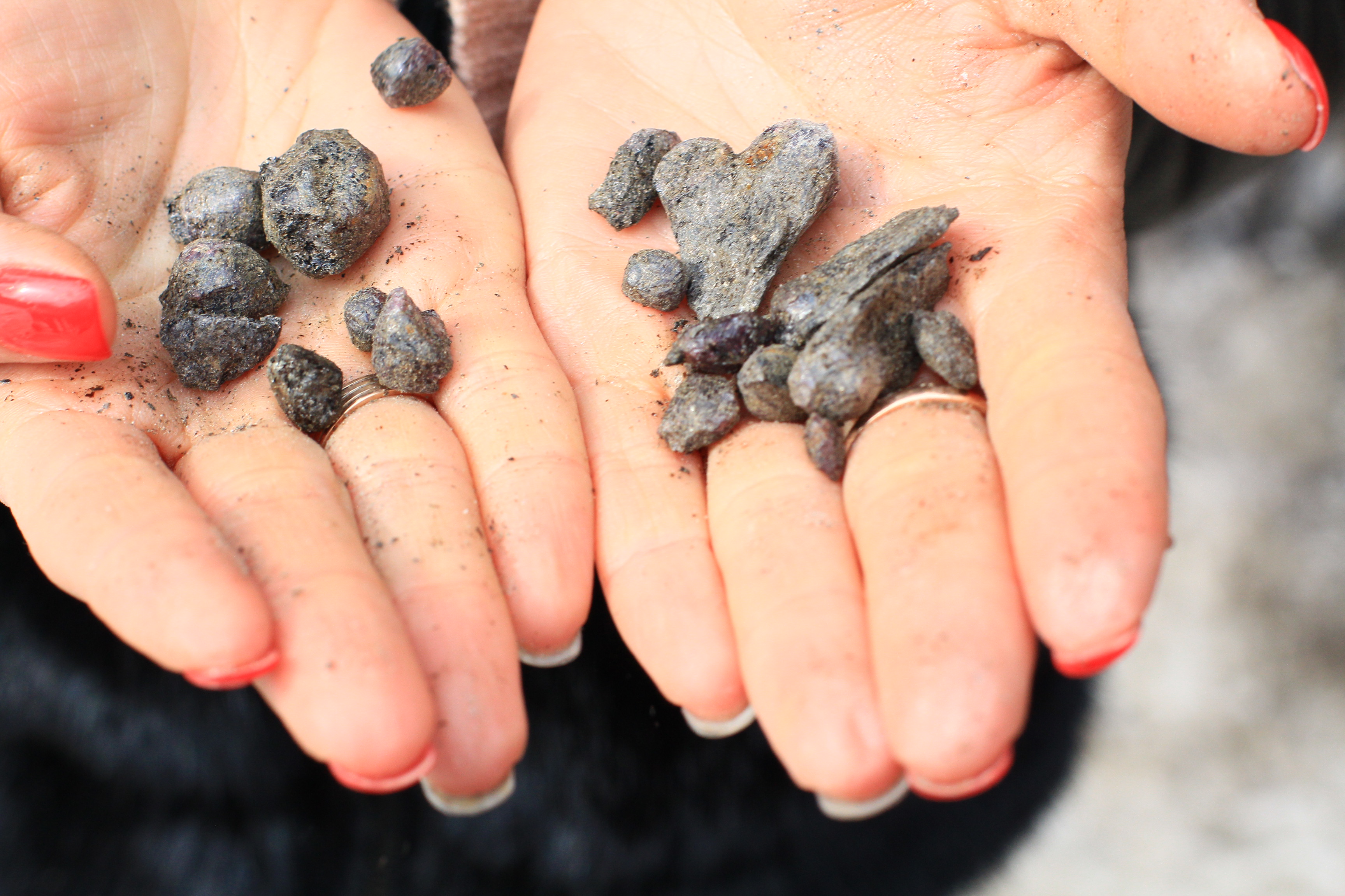 Новогоднее карельское счастье - проживание на берегу Ладоги (11/14)