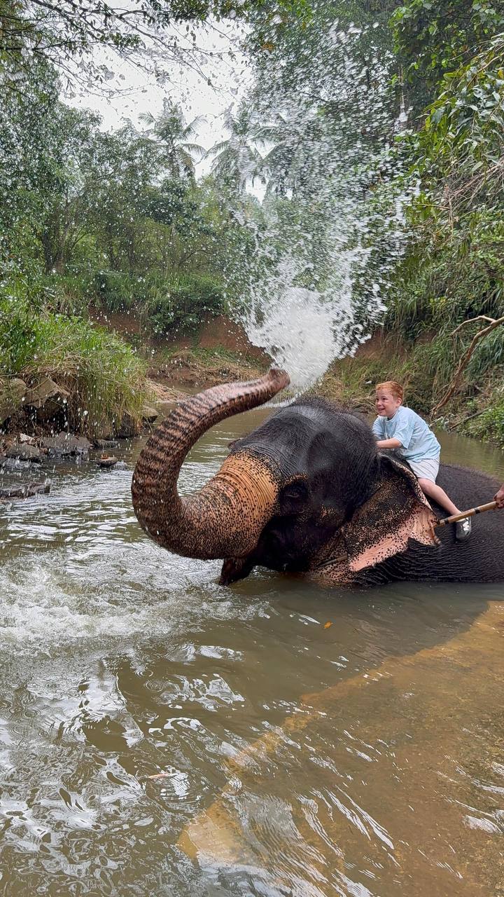 Индивидуальная экскурсия Канди тур (14/16)