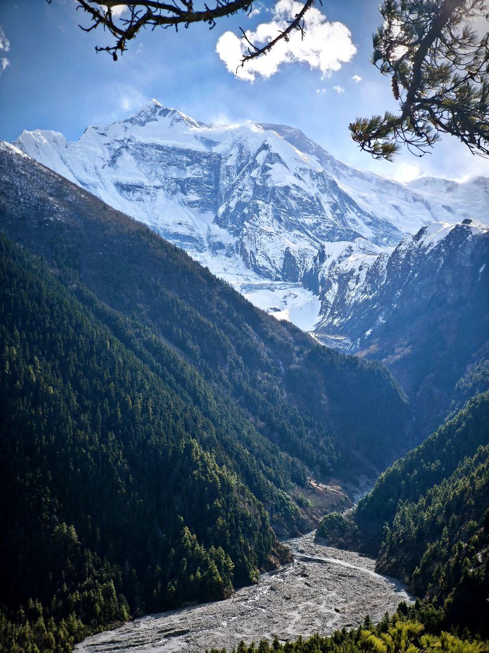 Треккинг по Непалу: Кольцо Аннапурны + горные озёра Тиличо и Гангапурна (24/60)