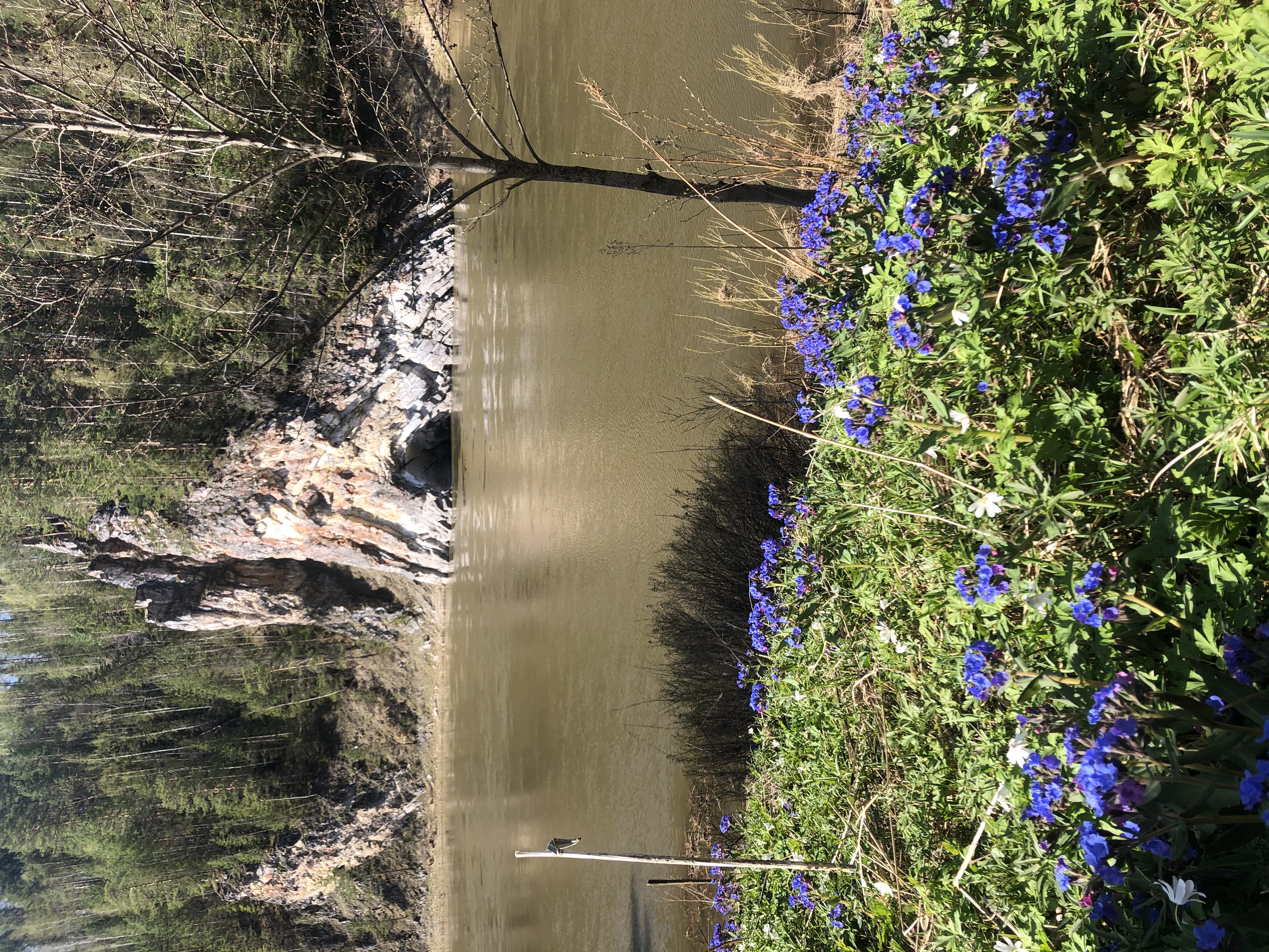 Кын - живое сердце горнозаводского Урала (8/16)