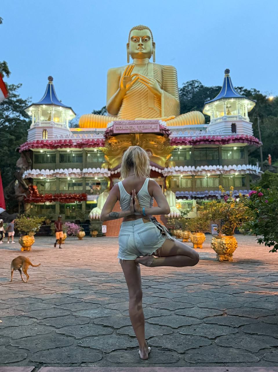 Индивидуальная экскурсия Сигирия за 1 день (5/26)