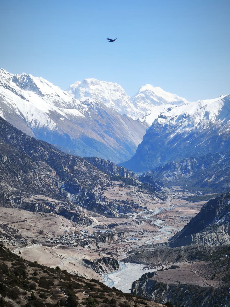 Треккинг по Непалу: Кольцо Аннапурны + горные озёра Тиличо и Гангапурна (20/60)