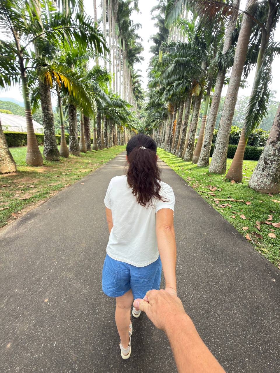 Индивидуальная экскурсия Канди тур (13/16)