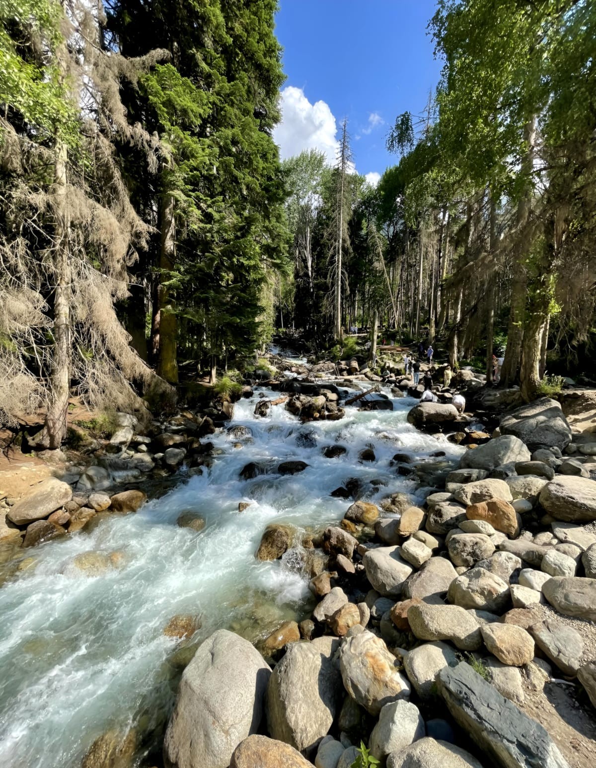 Сказочный Домбай из Кисловодска (5/13)