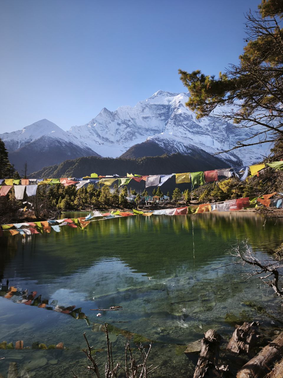 Треккинг по Непалу: Кольцо Аннапурны + горные озёра Тиличо и Гангапурна (36/60)