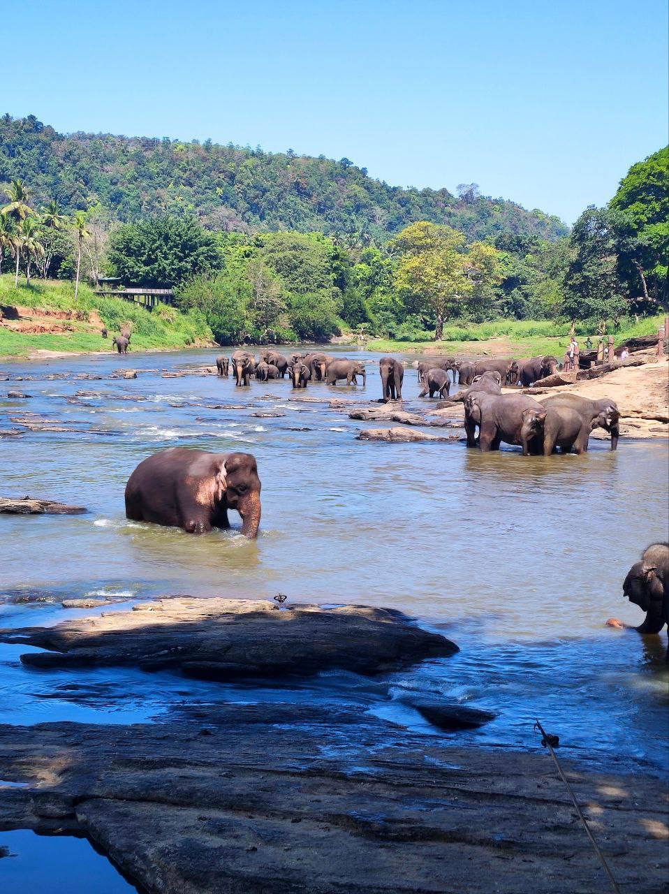 Индивидуальная экскурсия Канди тур (9/16)