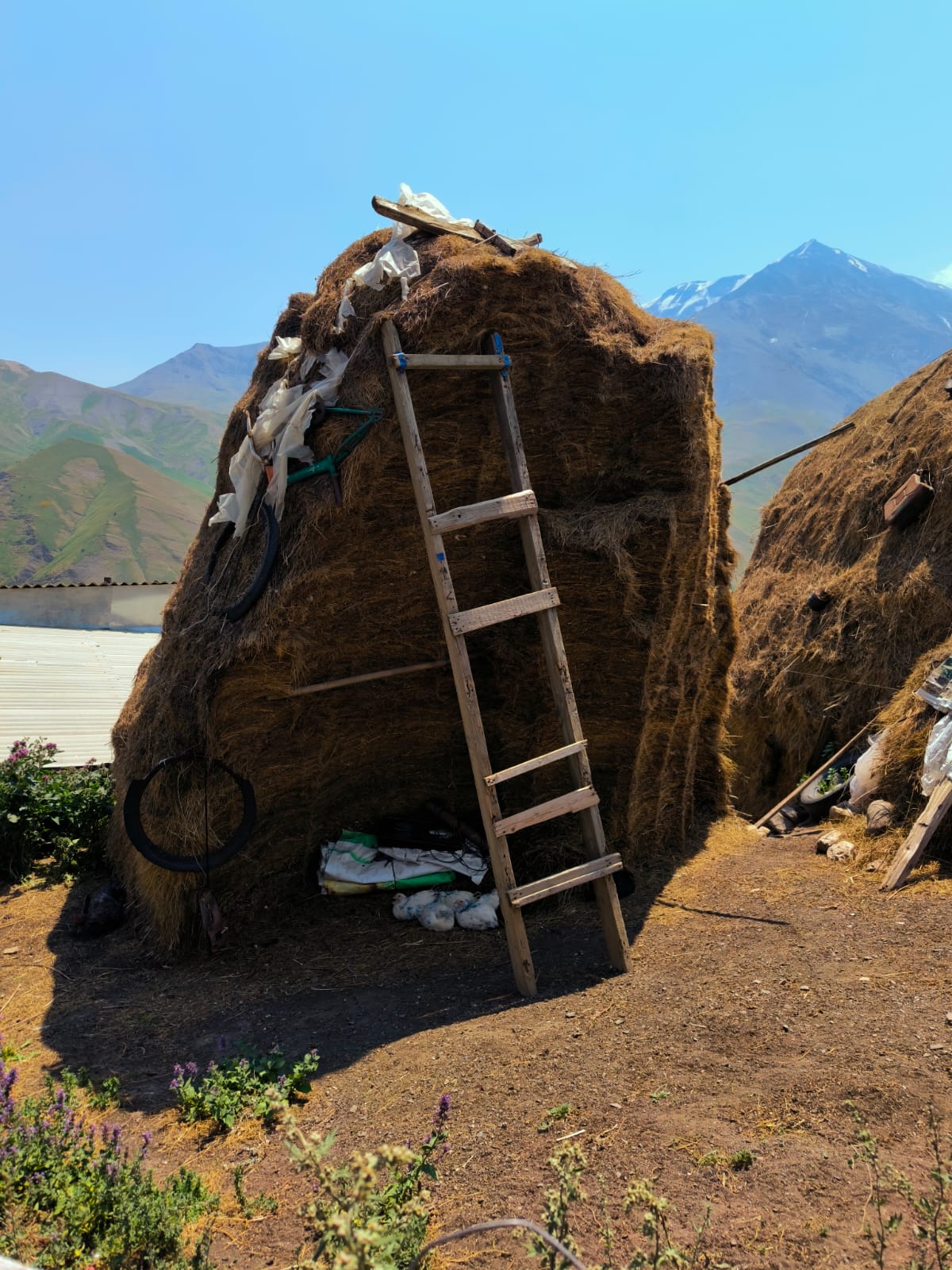 Летний тур 7 дней по Южному Дагестану. Все включено! (31/59)