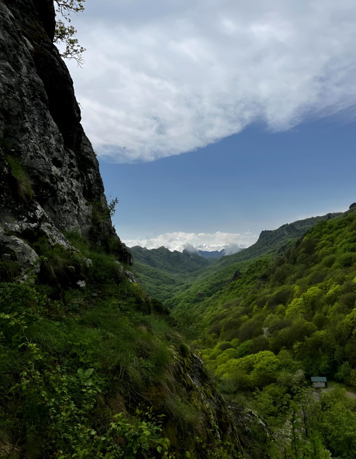 Сказочный Домбай из Кисловодска (8/13)