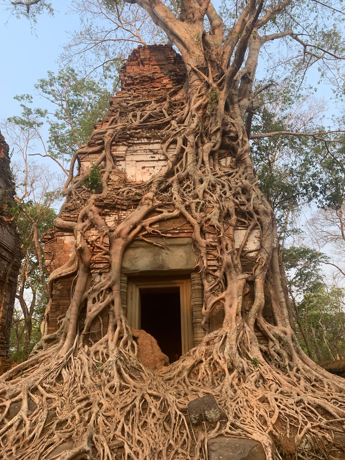 Мистическая Камбоджа. Полное погружение. (3/42)