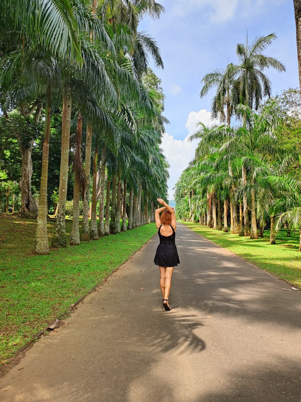 Индивидуальная экскурсия Канди тур (3/16)