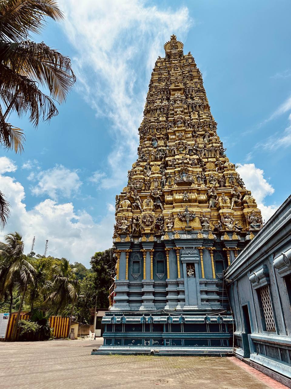 Индивидуальная экскурсия Сигирия за 1 день (3/26)