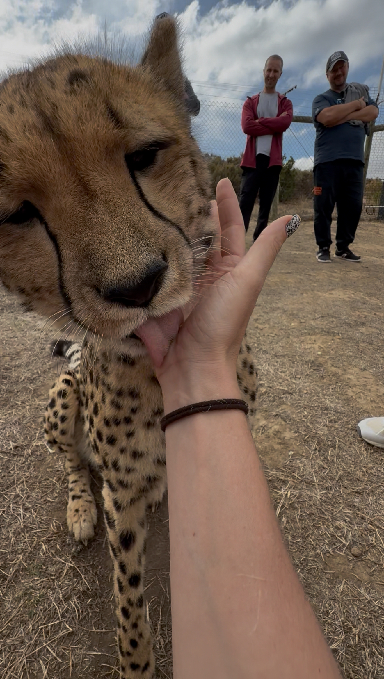 Юар + Зимбабве.Замбия.Ботсвана Африканский микс: сафари, вино и океан.