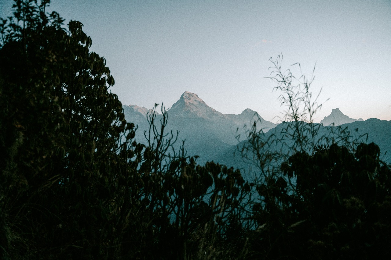 Непал: трекинг в горах, сафари и духовные места (2/45)