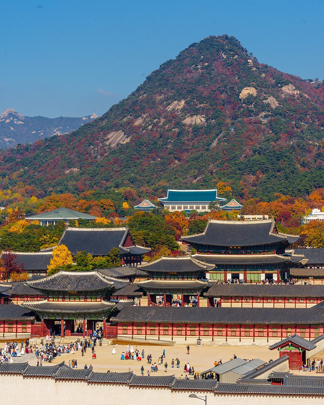 Южная Корея - Vip тур на Корейский Новый Год Seollal и Шоппинг на Korea Grand Sale. (28/72)