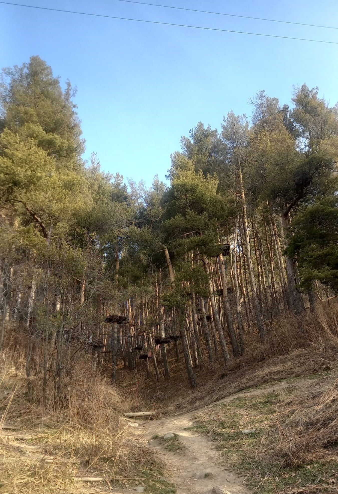 Треккинг: По тропам Каракунгей — к вершине Слониха (8/16)