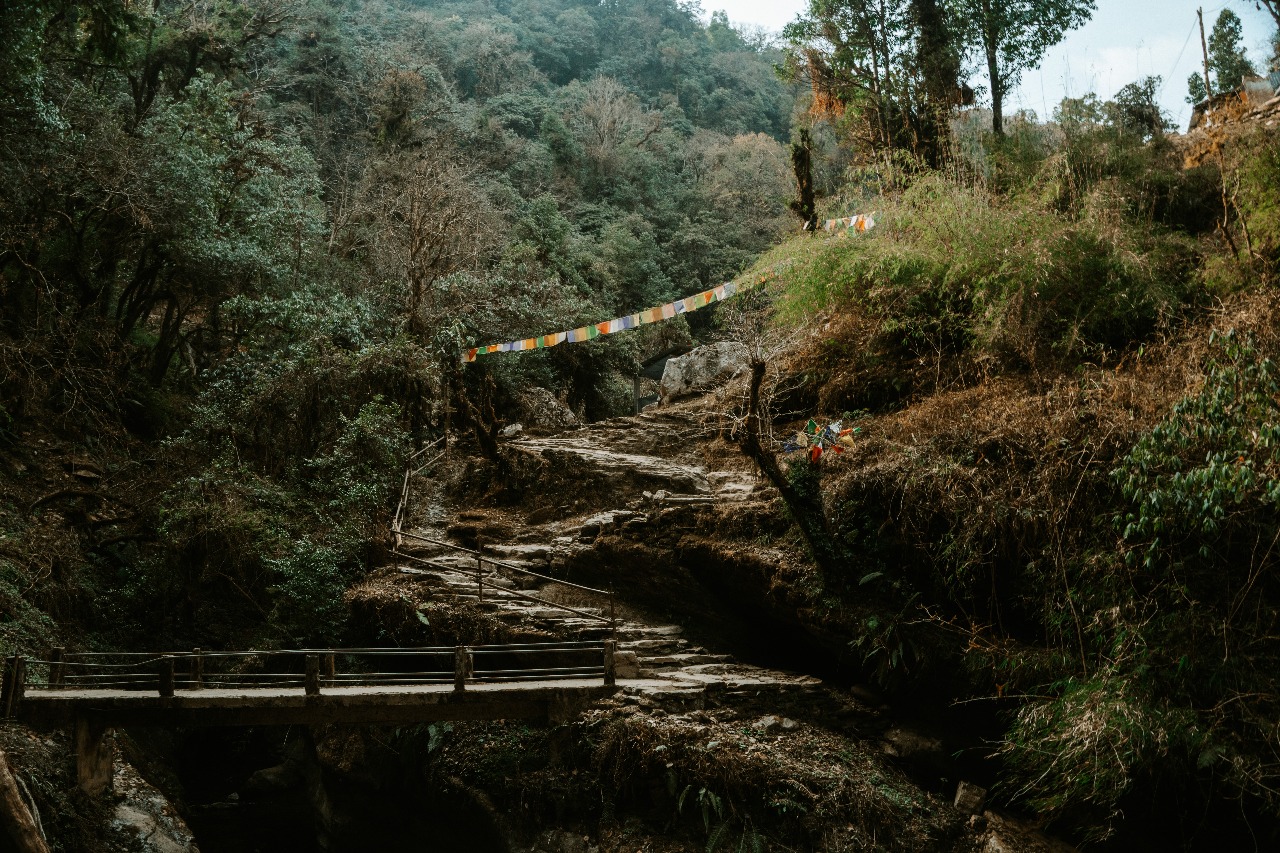 Непал: трекинг в горах, сафари и духовные места (3/45)