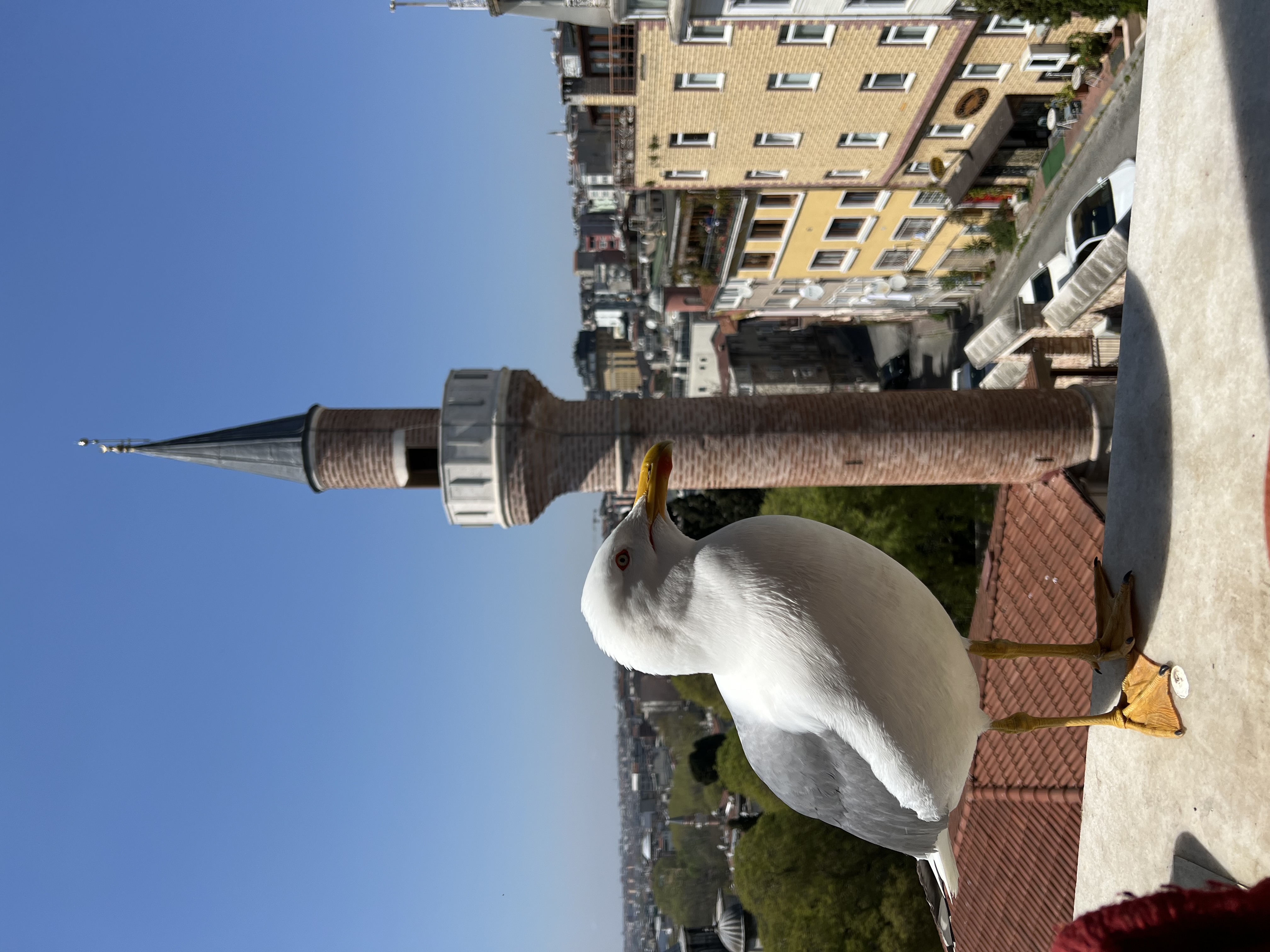 Стамбул+Каппадокия: история, колорит и волшебство рассветов (38/59)