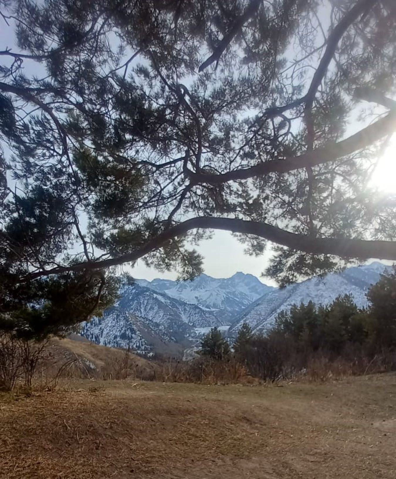 Треккинг: По тропам Каракунгей — к вершине Слониха (9/16)